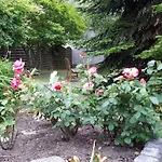 Apartament Feriendomizil Annette's Scholle Sondershausen